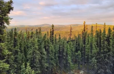 Felix-Gold-ASX-FXG-exploration-Treasure-Creek-NW-Array-Target-Alaska