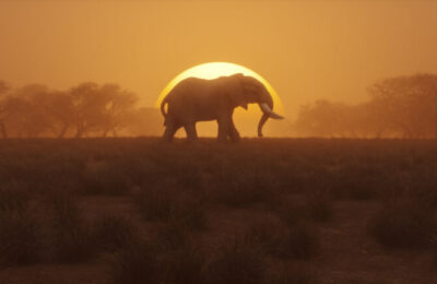 Lonely elephant walking at sunset. 3D generated image.